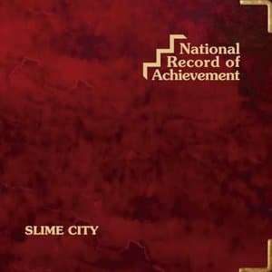 National Record of Achievement