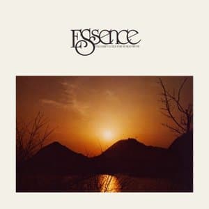 Essence