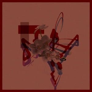 Occupant