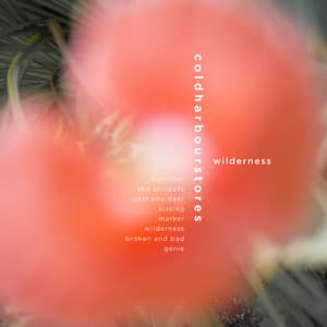 Wilderness
