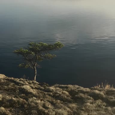 Midnight Sun 4 B