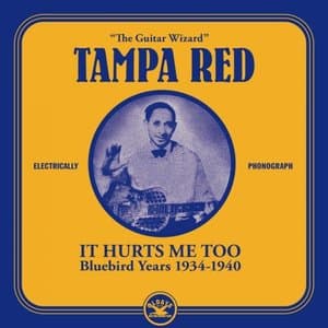 It Hurts Me Too : Bluebird Years 1934-1940