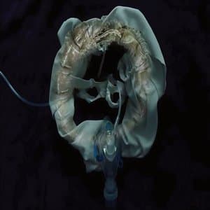 InitiatriX