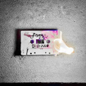 GET_FOSSILIZED