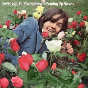 Everythings Coming Up Roses