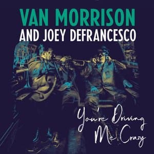Youre Driving Me Crazy (2018)