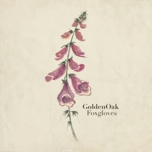 Foxgloves