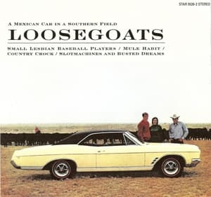 A Mexican Car in a Southern Field
