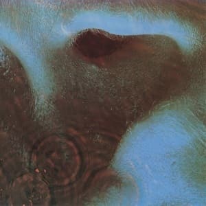 Meddle