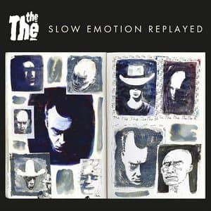Slow Emotion Replayed
