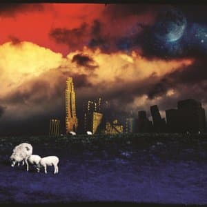 Land Of Holy Joy