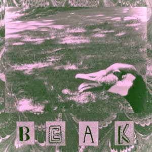 beak