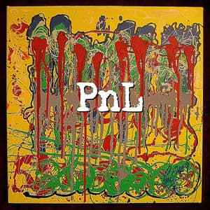 PNL