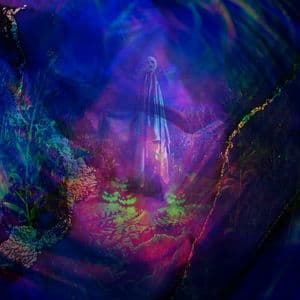 CREATIVE VISIONS