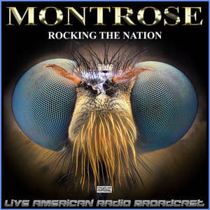Rocking The Nation (Live)