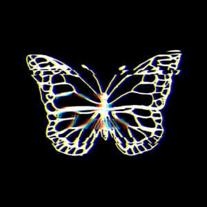Cocoon