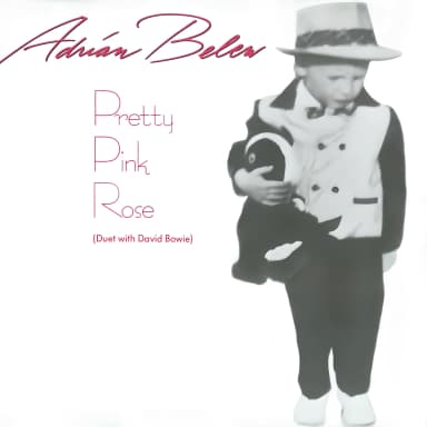 Pretty Pink Rose