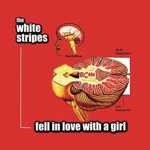 Fell in Love with a Girl