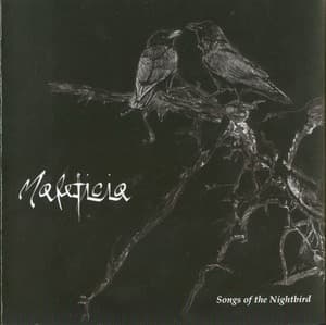 Songs Of The Nightbird