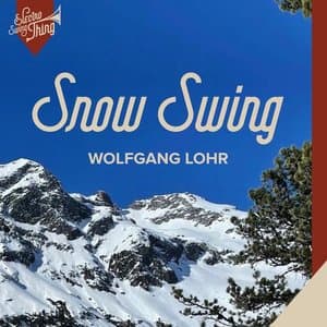 Snow Swing