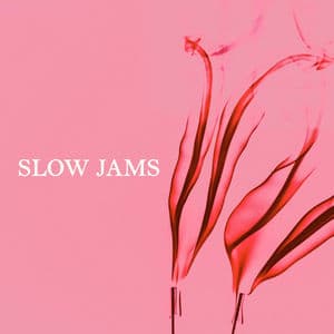 Slow Jams