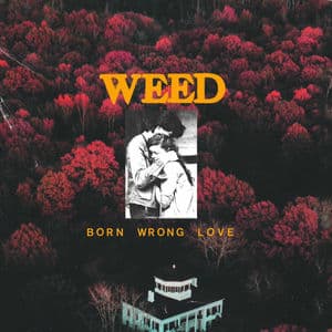 Born Wrong Love