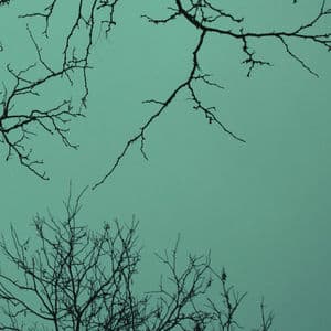 Enigrams