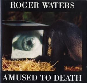 Amused To Death