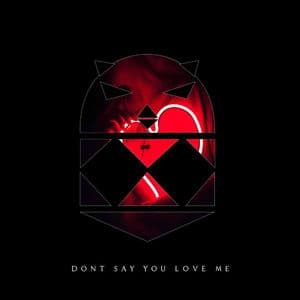 Dont say you love me