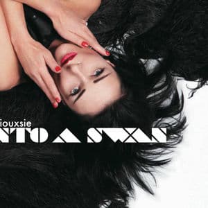 Into A Swan