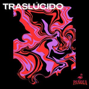 TRASLÚCIDO