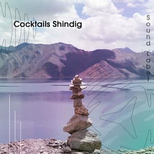 Cocktails Shindig