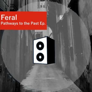 Pathways to the Past