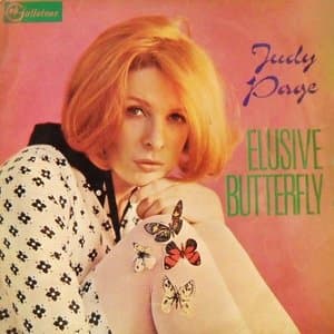 Elusive Butterfly