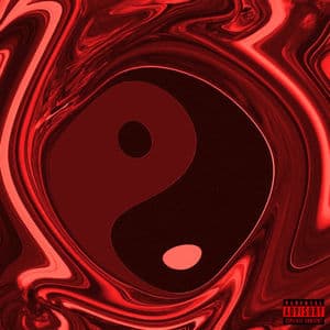 YIN YANG II