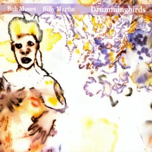 DrummingBirds