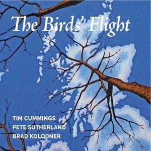 The Birds Flight