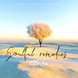 Soulful Remedies