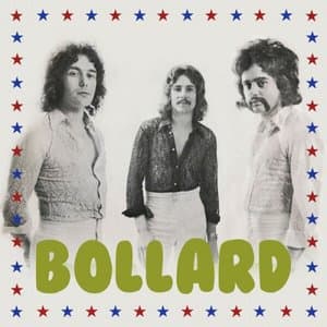 Bollard