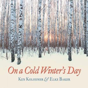 On a Cold Winters Day