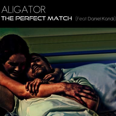 The Perfect Match (feat. Daniel Kandi)