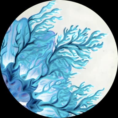 mosso009