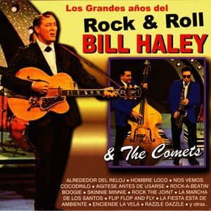 Los Grandes Años del Rock & Roll - Bill Haley & The Comets