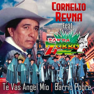 Te Vas Ángel Mío - Barrio Pobre