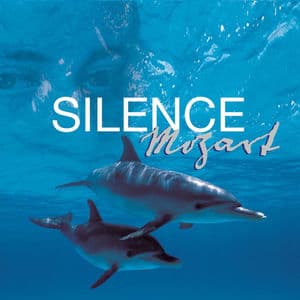 Silence Mozart