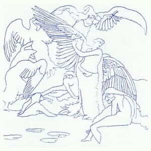 S/T