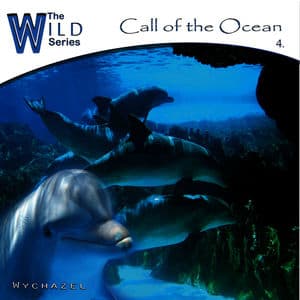 Call of the Ocean