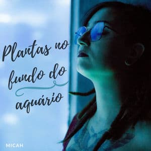 Plantas no Fundo do Aquário