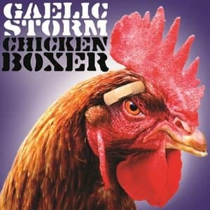 Chicken Boxer