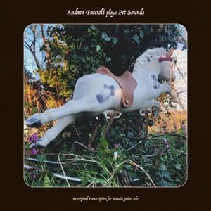 Andrea Faccioli plays Pet Sounds